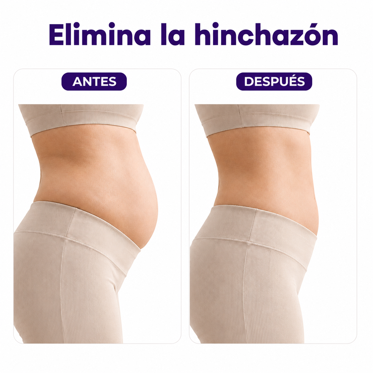Complejo Linfático