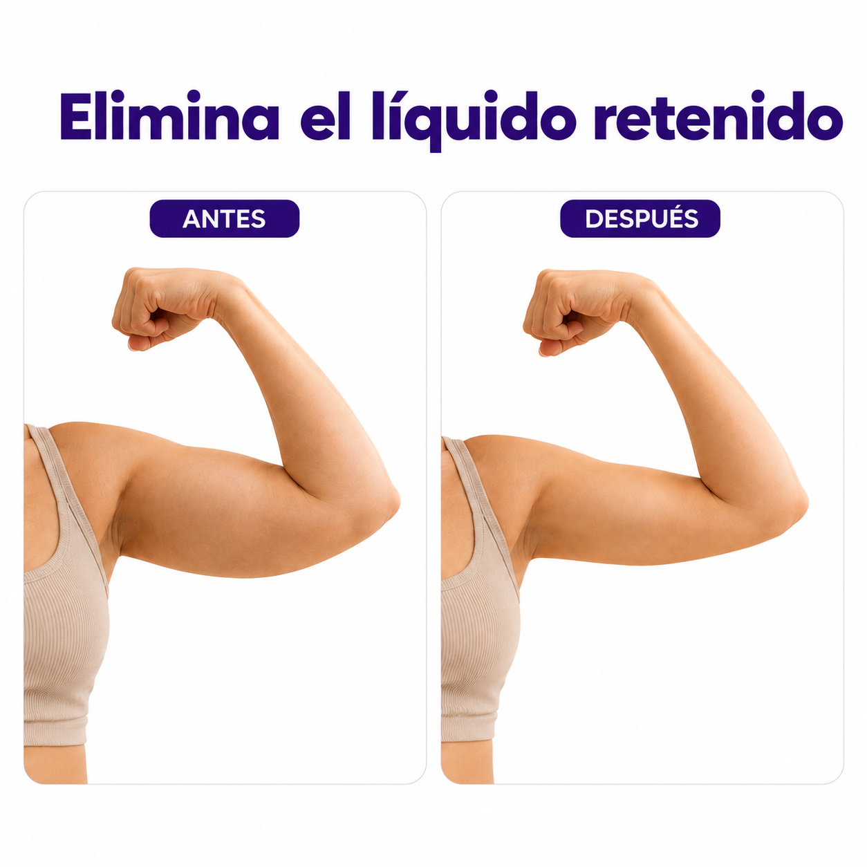 Complejo Linfático