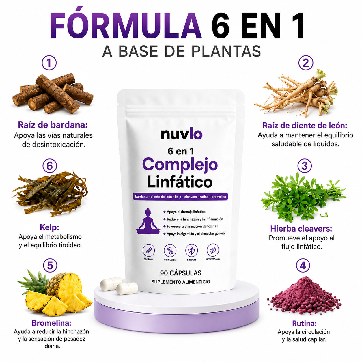 Complejo Linfático